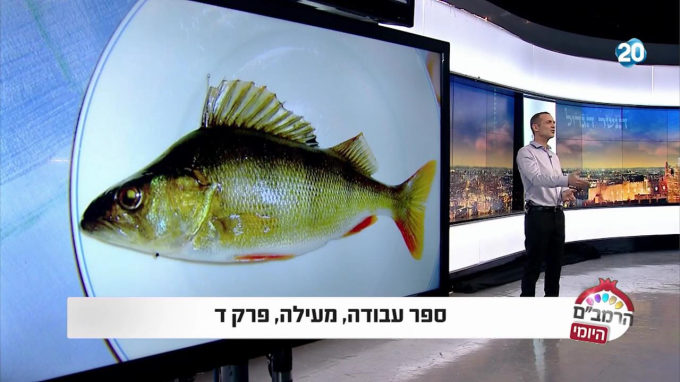 ספר עבודה הלכות מעילה פרק ד'