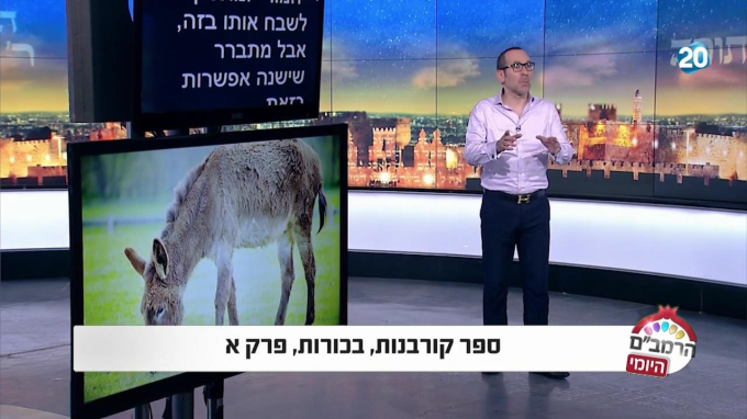 ספר קורבנות הלכות בכורות פרק א'