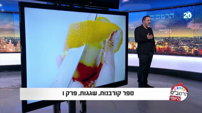 ספר קורבנות הלכות שגגות פרק ו'