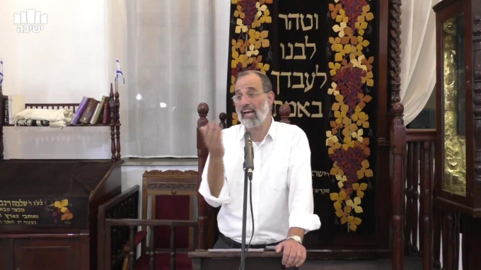 תורה ומדינה