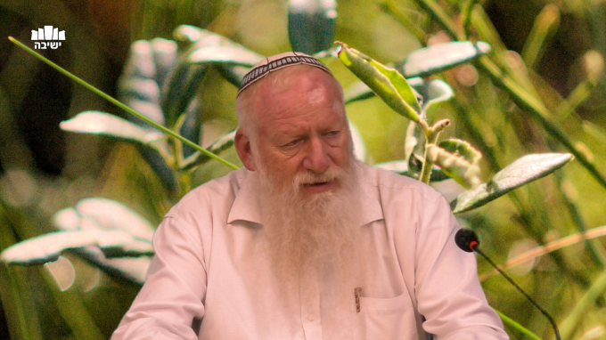 מעלת ציור התשובה