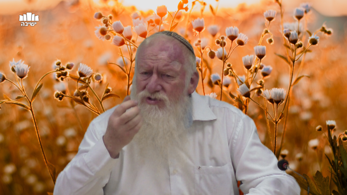האמונה בהשפעת הרהור התשובה, והמעלות הנולדות ממנה
