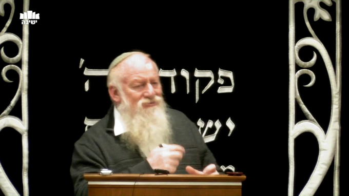 ועל המלחמות? - למה מותר להילחם ביונים?