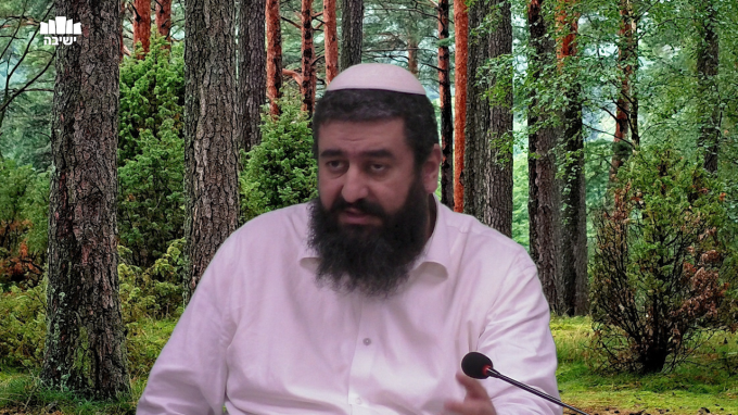 מעלת הרצון, פעולתו ותיקונו