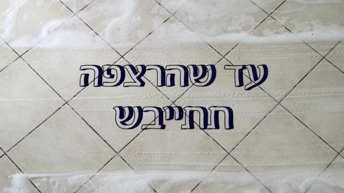 עד שהרצפה תתייבש - פרשת תזריע - מצורע תש"פ