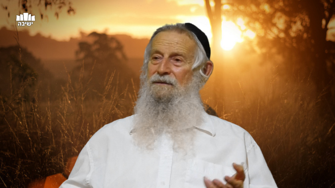 שו"ת סוף זמן קיץ תש"פ