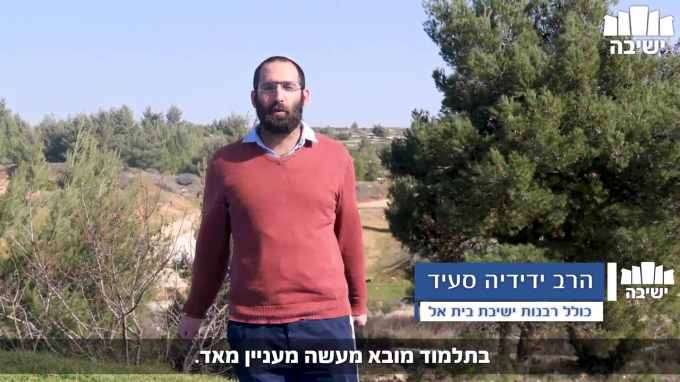 ט"ו בשבט - השקעה לטווח ארוך!