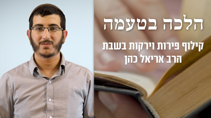 קילוף פירות וירקות בשבת