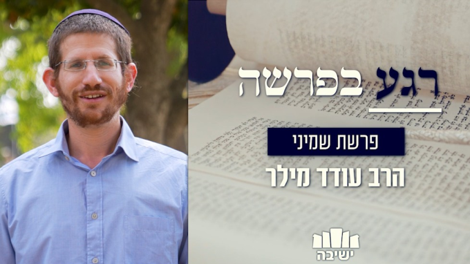 התלהבות ללא יין