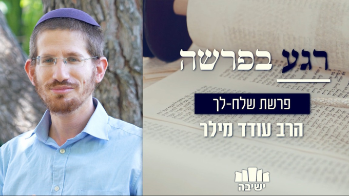 אנחנו בצד של החזקים!