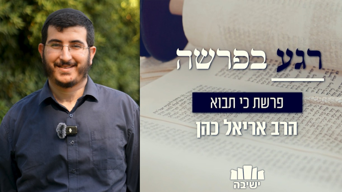 מהי המצווה "והלכת בדרכיו"?