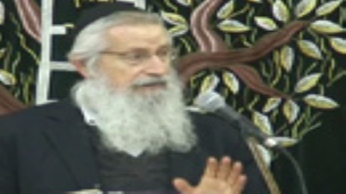 כלאיים בציצית