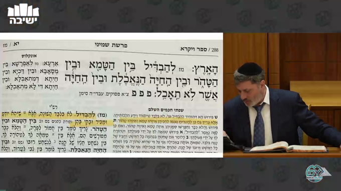 מכות דף י"ט