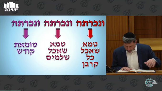 שבועות דף ח'
