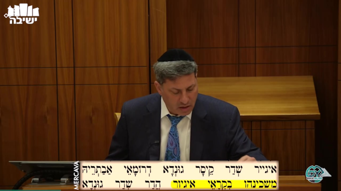 עבודה זרה דף י"א