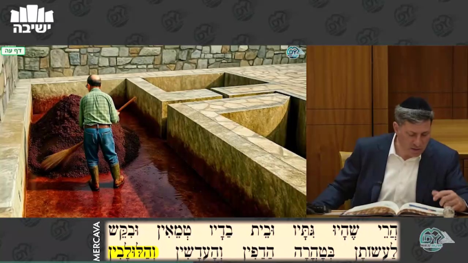 עבודה זרה דף ע"ה