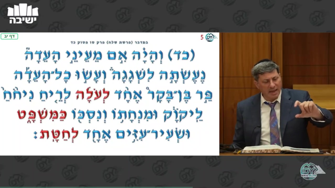 הוריות דף י"ג