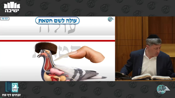 זבחים דף ס"ח