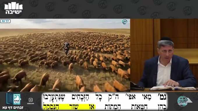 זבחים דף ע"ב