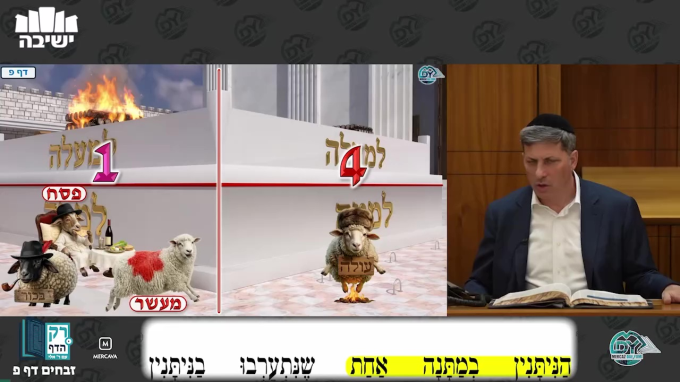 זבחים דף פ'