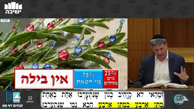 זבחים דף פ"א