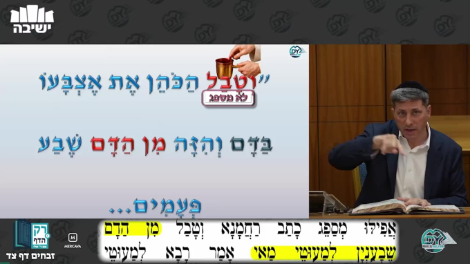 זבחים דף צ"ד