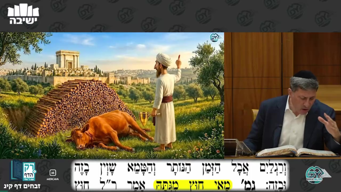 זבחים דף קי"ג