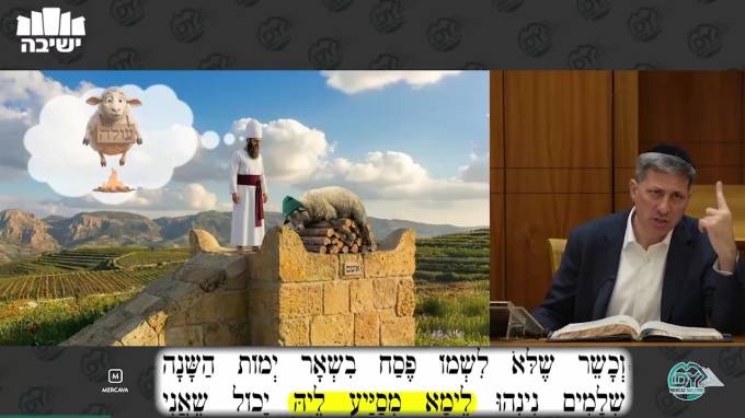 זבחים דף קט"ו