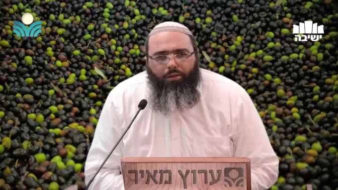 על הזית | סודות ט"ו בשבט 3 