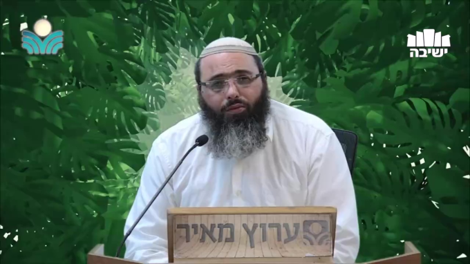 כי האדם עץ השדה | סודות ט"ו בשבט 6