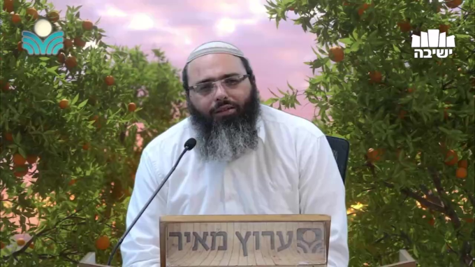 אילן אילן במה אברכך? | סודות ט"ו בשבט 8