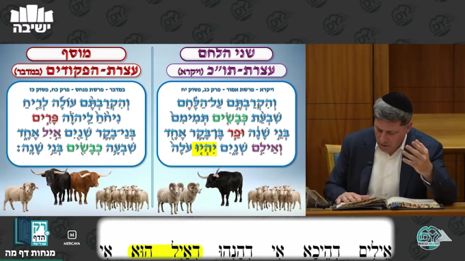מנחות דף מ"ה