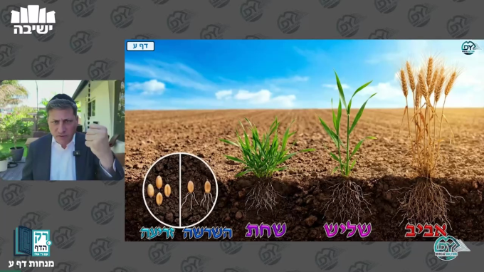 מנחות דף ע'