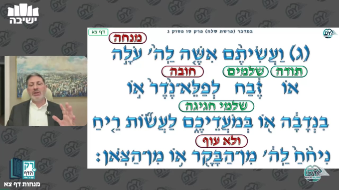 מנחות דף צ"א
