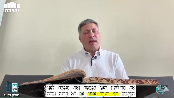 חולין דף י"ד