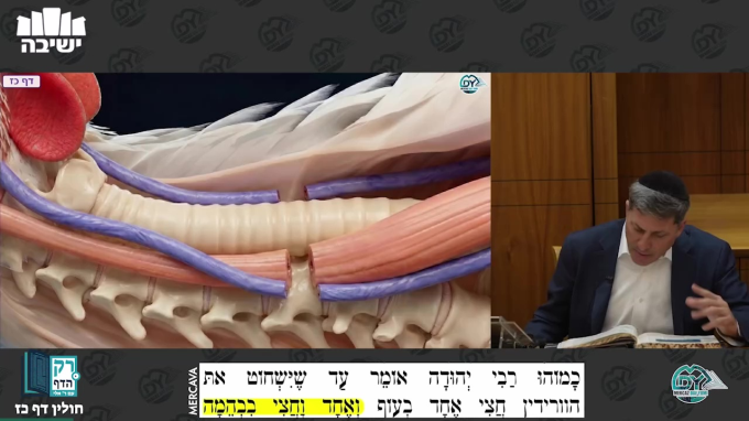 חולין דף כ"ז