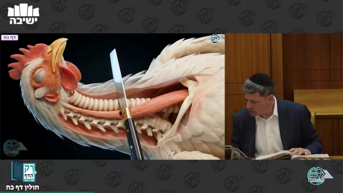חולין דף כ"ח