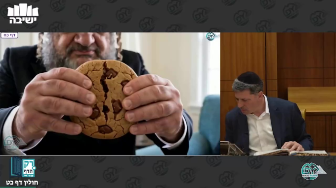 חולין דף כ"ט