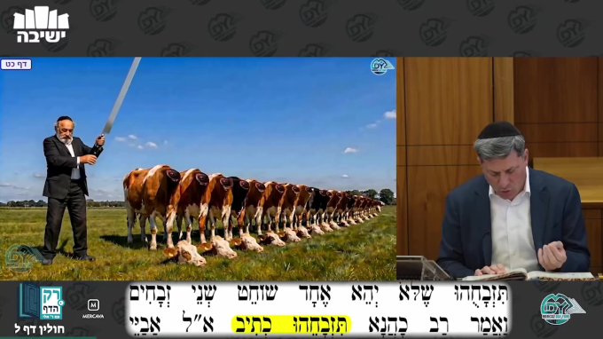 חולין דף ל'