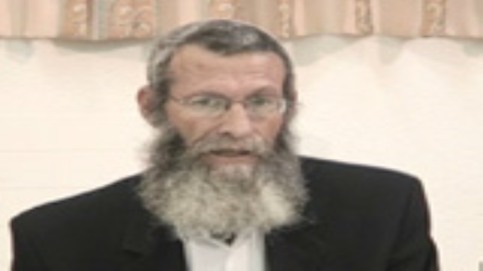 לימוד חי