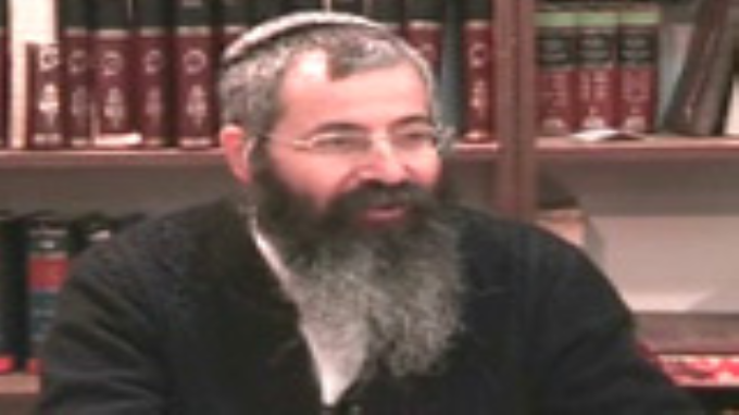 תפקיד לשון התרגום