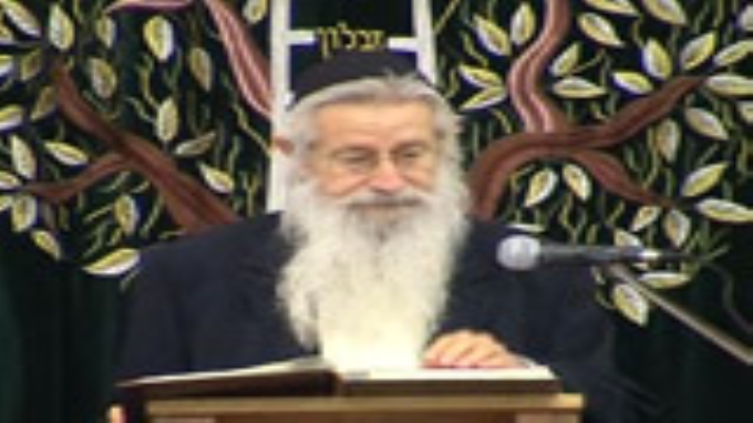 נאמן כבי תרי