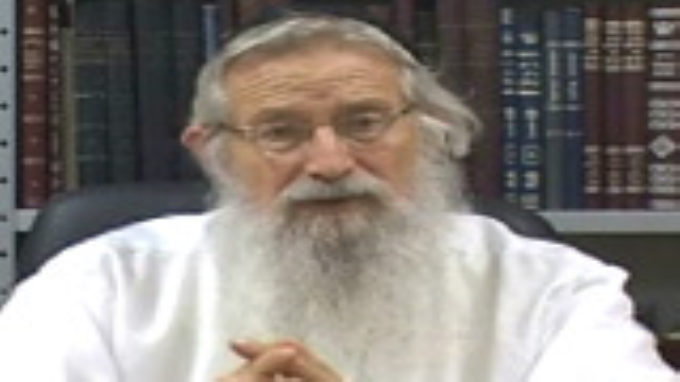 היחס למגרשים