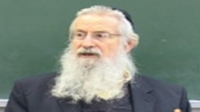 מידת הזריזות