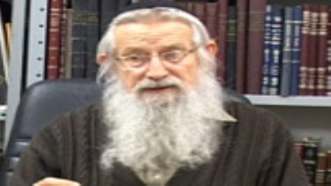 צדיקים ורשעים