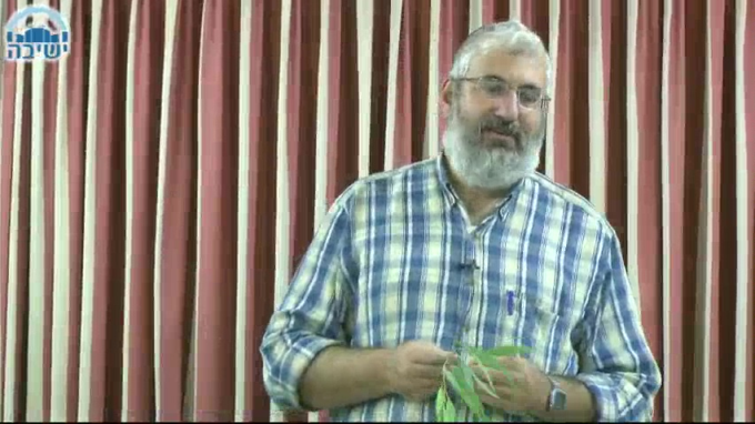 דיני ערבה - שיעור מעשי