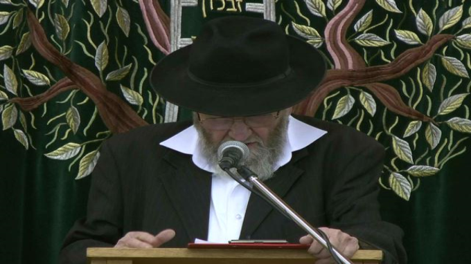 מלכות החשמונאים לאור ההלכה