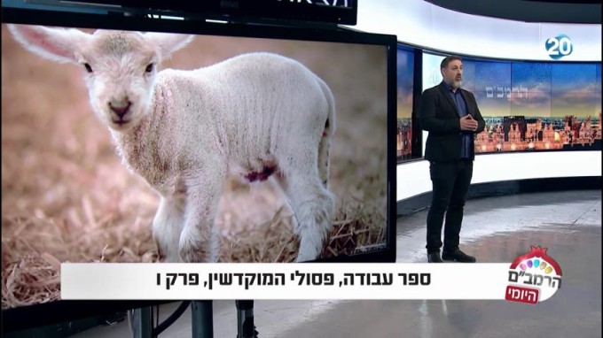 ספר עבודה הלכות פסולי המוקדשין פרק ו'