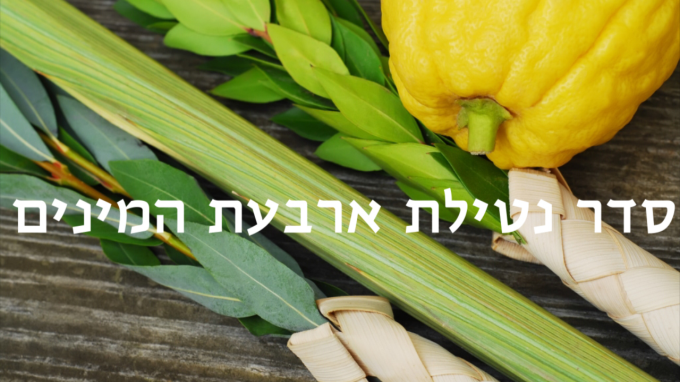 איך נוטלים ארבעת המינים?