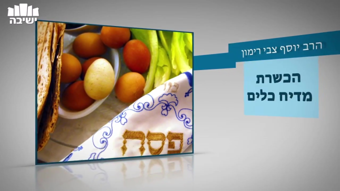 איך מכשירים מדיח כלים?